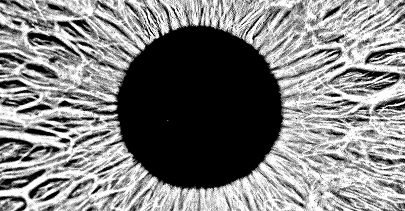 eli cripps, the voice uk, itv, bbc, soul, pop, kenya, africa, england, uk music video, production, director, manchester